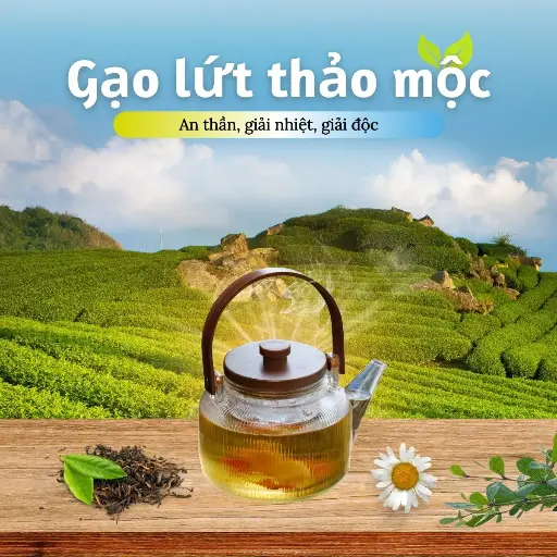 Trà Gạo Lứt Thảo Mộc